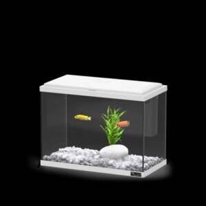 AQUARIO EXPLORER LONDON 35 BRANCO