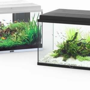 AQUARIO START 55 LED COR 025-Branco EQP