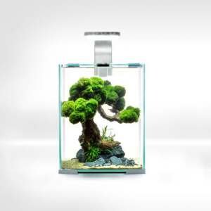 Aquael SHRIMP SET D&N 10 WHITE