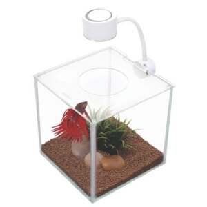 Marina Betta Kit Cubus 3,4 Lts