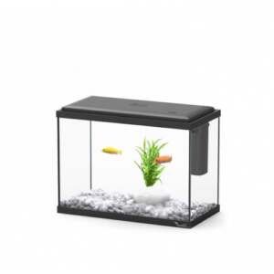 Aquário Explorer London 35 Preto 35x18x26.5 cm