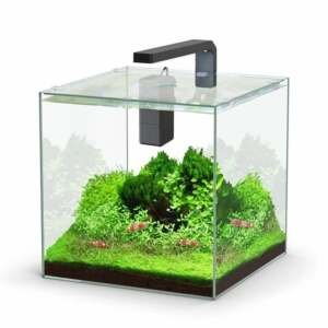 Aquário KUBUS 22L equipado preto - 29x30.4x34.9 cm