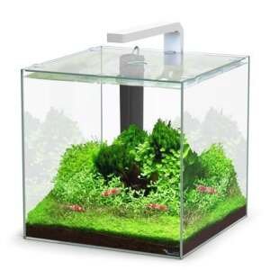 Aquário KUBUS 22L equipado branco - 29x30.4x34.9 cm