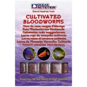 LARVA DE MOSQUITO VERMELHA CULTIVADA 100GR