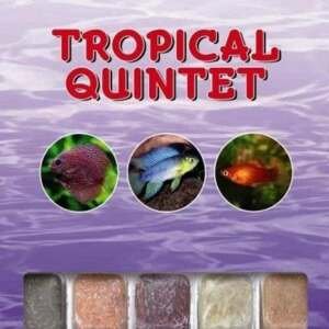 TROPICAL - 5 VARIEDADES 100GR