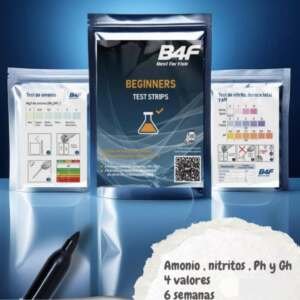 Kit de testes B4F para iniciantes