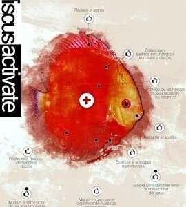 Discus ACTIVATE 250 ml