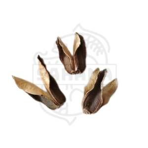 Flor Salvertia - pack 3 unidades