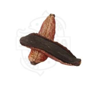 Kielmeyera Pod - sakana