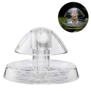 Armadilha para Caracóis