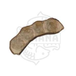 Vaina de cacahuete - Sakana