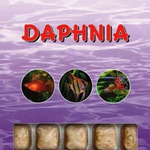 DAPHNIA 100GR