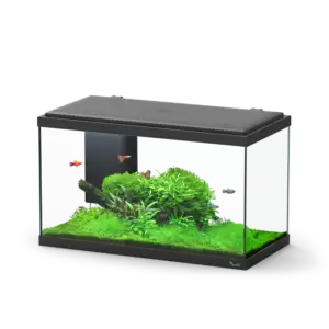 Aquário EXPLORER PARIS 60 BIO LED preto 60x30x34 cm