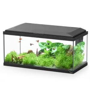 Aquário EXPLORER BRUSSELS 75.7x36.7x38cm cor preto