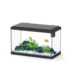 Aquário EXPLORER VIENNA preto com 50x25x33 cm
