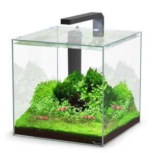 Aquário KUBUS 54L equipado preto - 38.8x40.3x44.9 cm