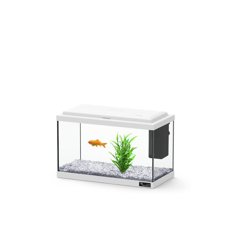 20241001112035-qVIamdvW_q-100