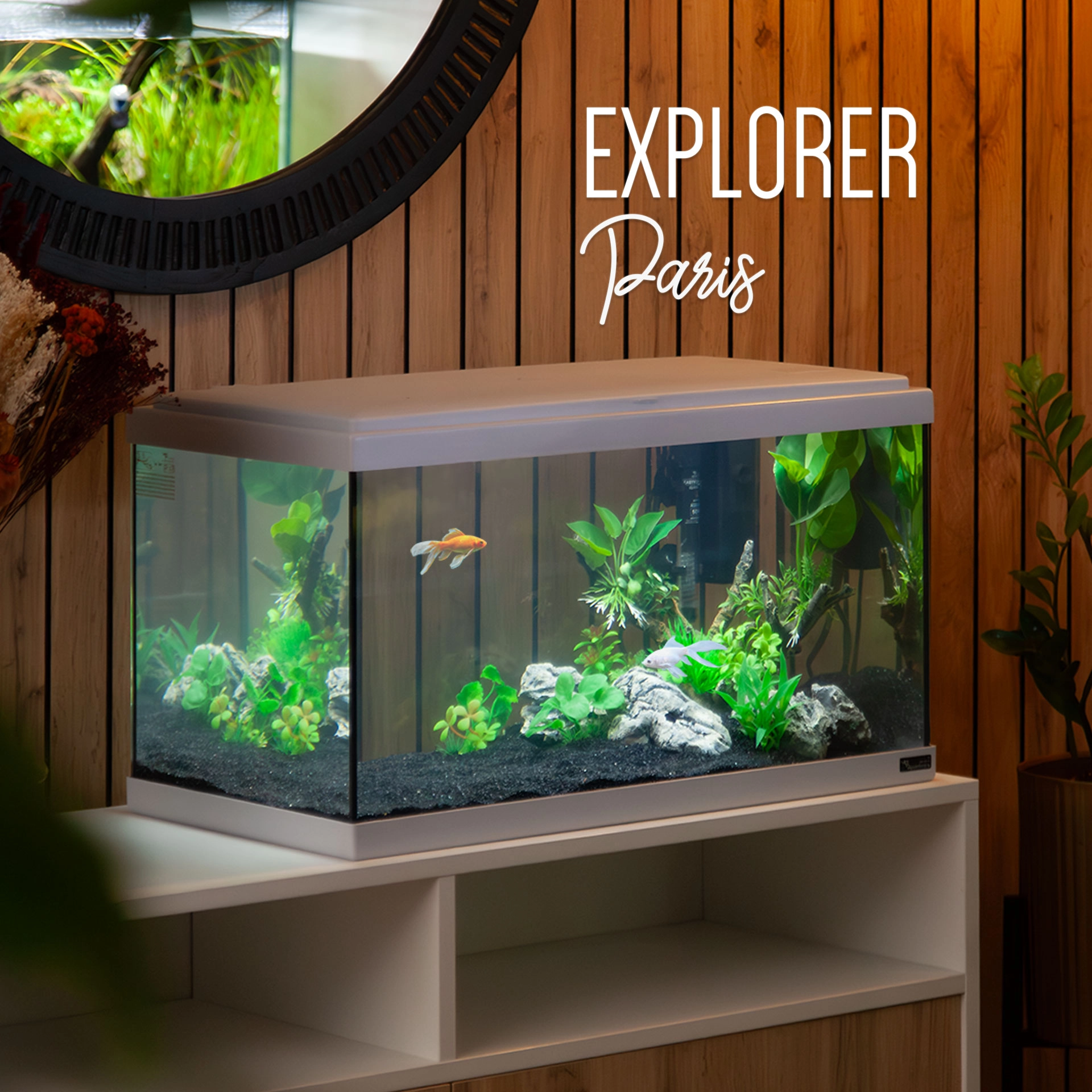 20260115141953-C3aQPJjA_q-100