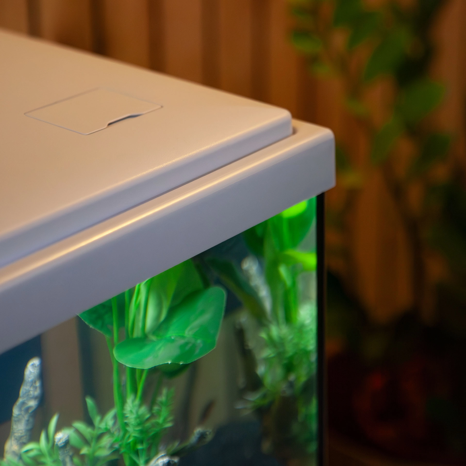 20260115141953-tJXWvN8M_q-100