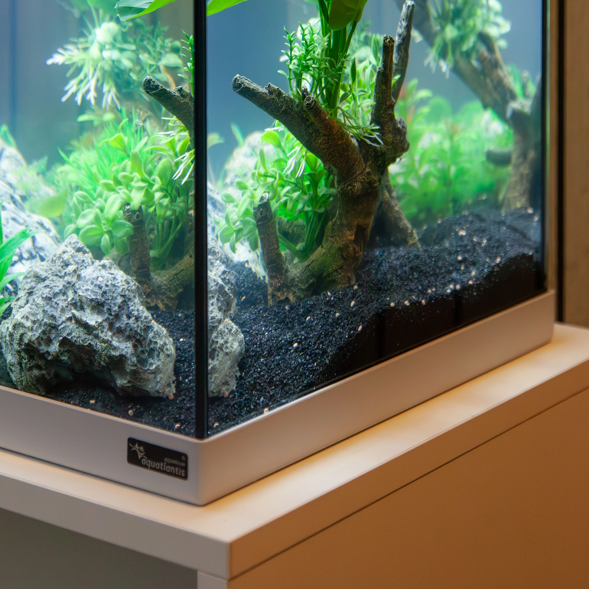 20260115141954-Bh0Qejzh_q-100