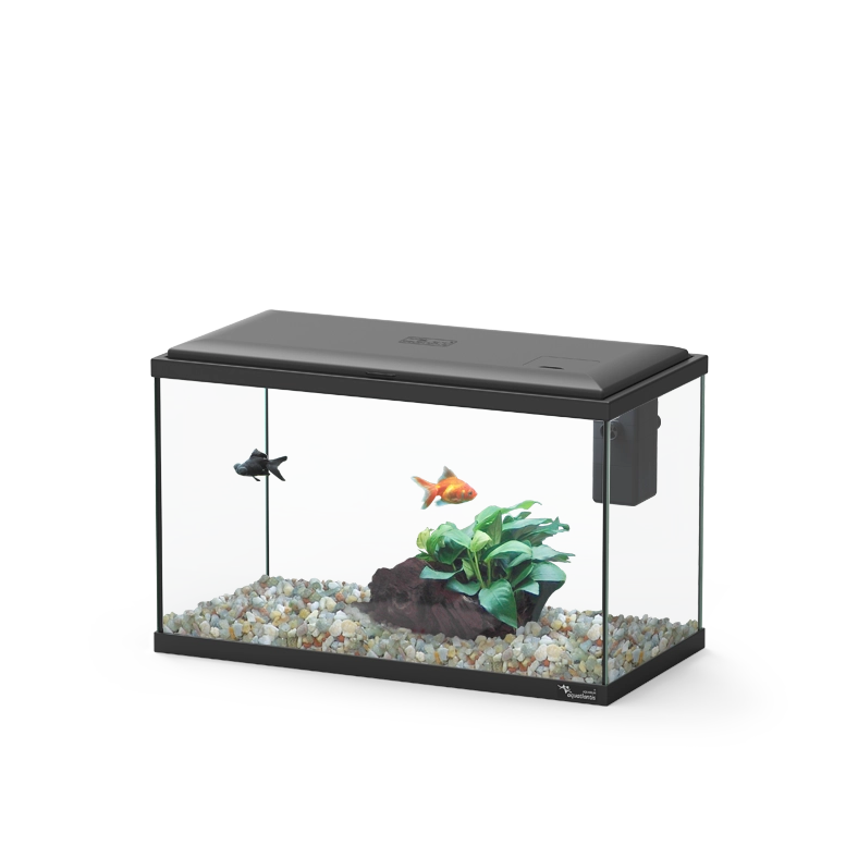 AQUARIO EXPLORER LISBOA 40 preto com equipamento