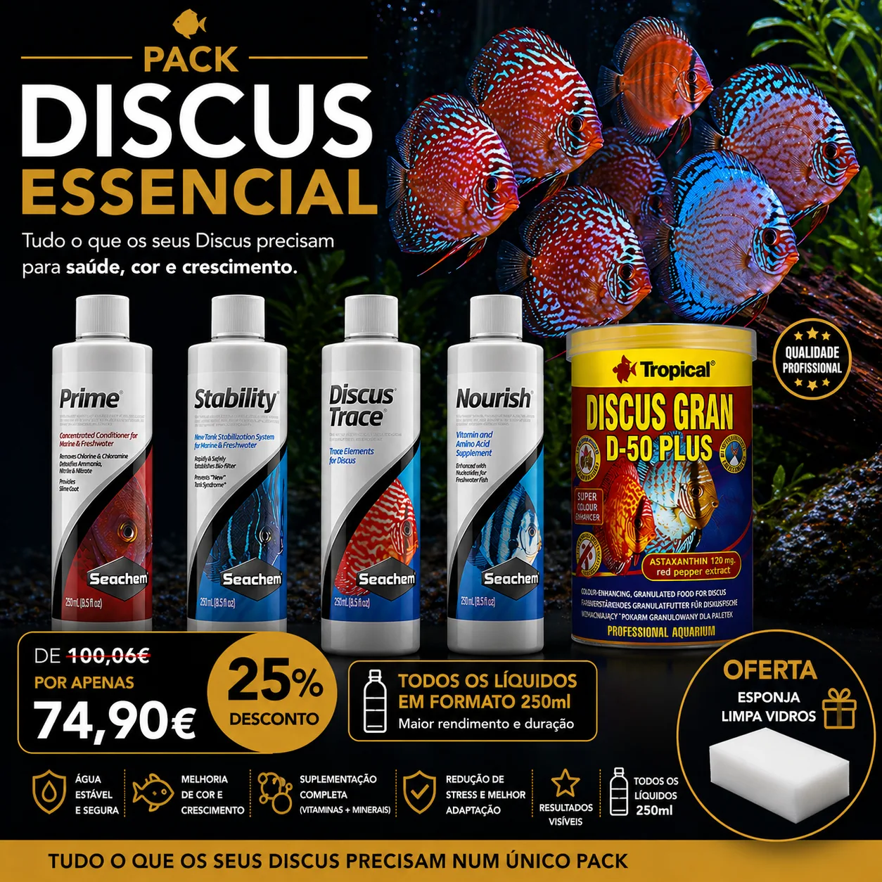 Pack Discus Essencial PRO