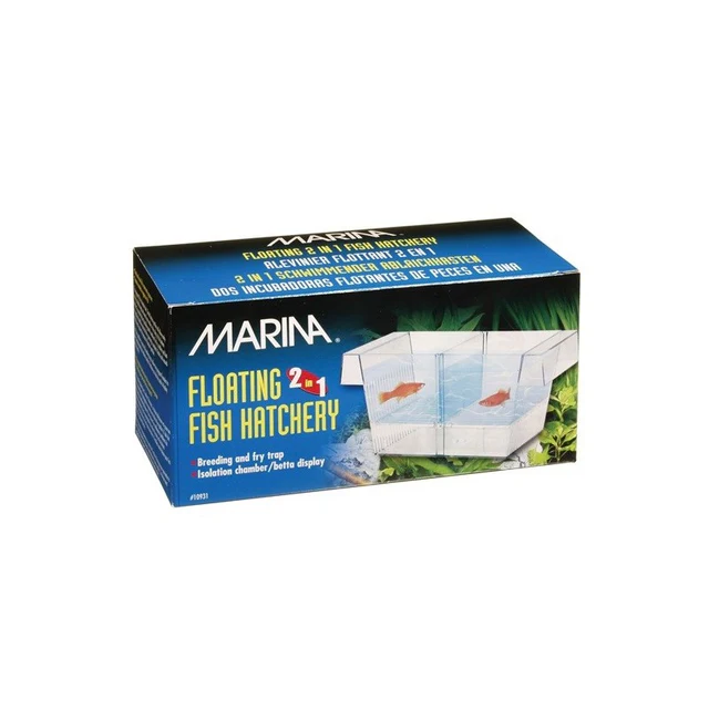MATERNIDADE STANDARD 2 em 1