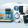 Quando trocar as mídias filtrantes do aquário?