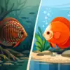 Diferença entre discus selvagens e de cativeiro