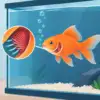 Porque é que os peixes respiram rápido no aquário?